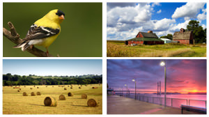 iowa